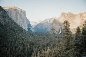 Yosemite Visitor Guide6