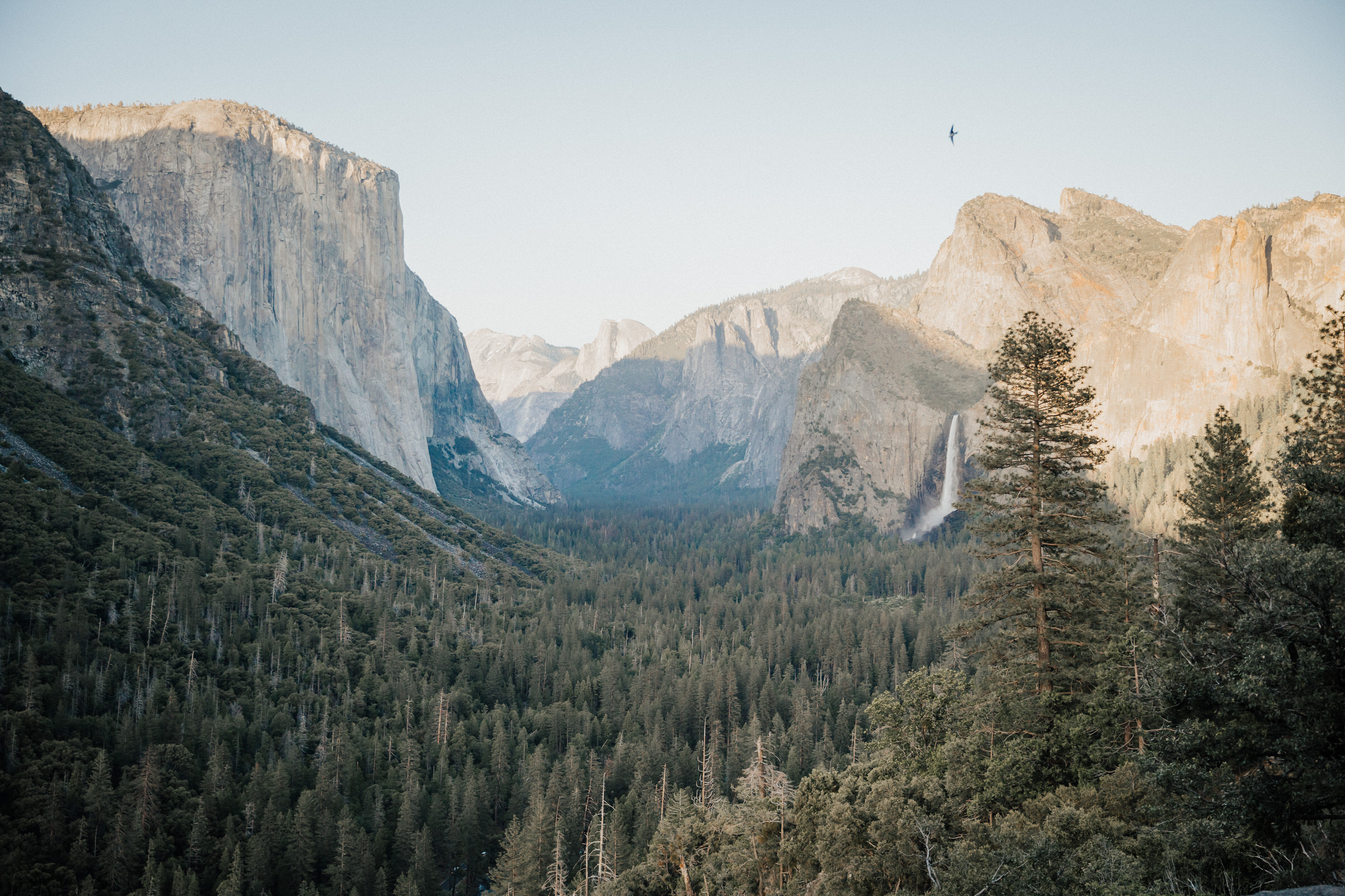 Yosemite Visitor Guide